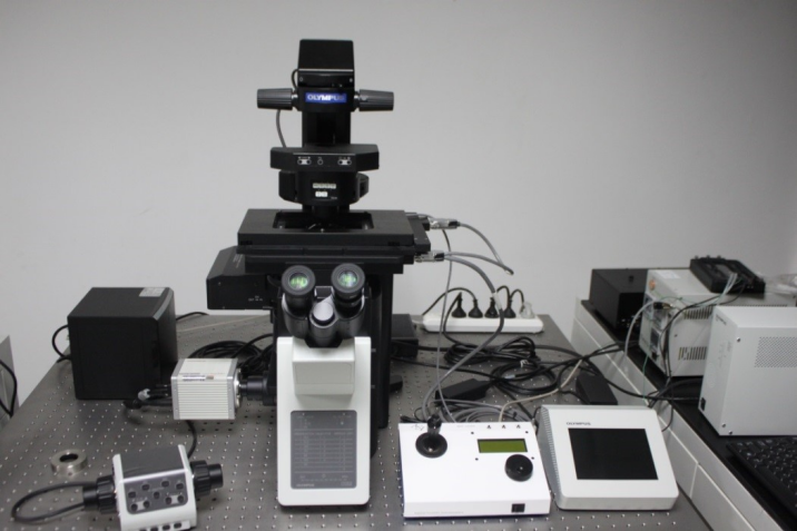 高分辨率活细胞成像工作站